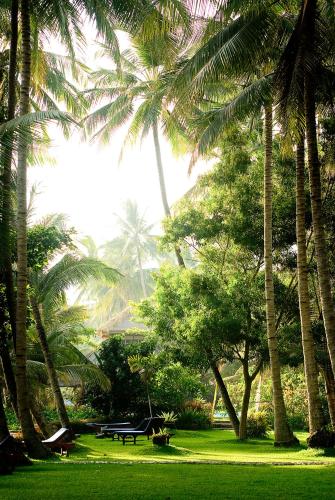 Gaia-Oasis Beach Resort – Photos 2