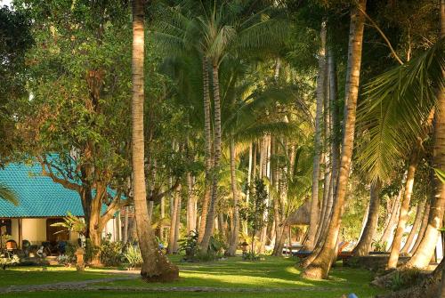 Gaia-Oasis Beach Resort – Photos 3