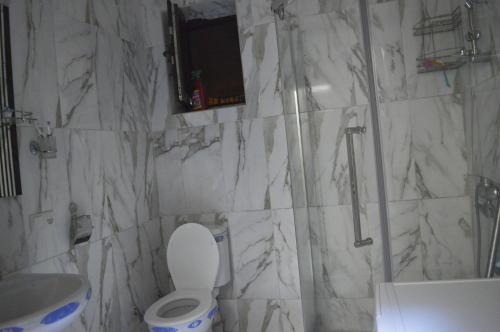 a bathroom with a shower and a toilet and a sink at Apartament 1 in Batumi