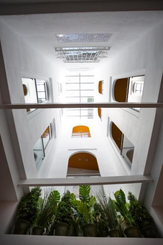 a view from the top of a room with plants at Basic Hotel Sevilla Catedral in Seville