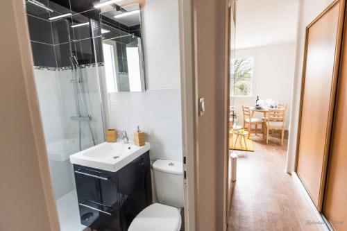 a bathroom with a toilet sink and a shower at Appartement T2 - Proche Gare - Bord de Vilaine in Rennes