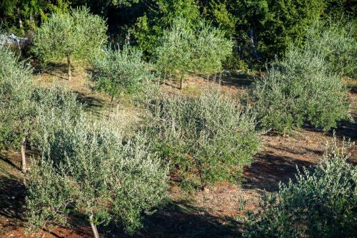 Galeriebild der Unterkunft Villa HARMONY in Risika