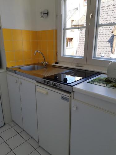 une cuisine avec un évier et un plan de travail dans l'établissement Tripiers Anis, à Colmar