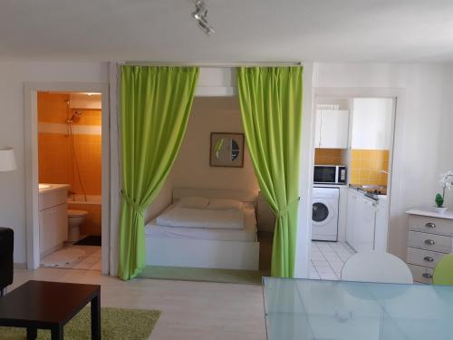 Il comprend un salon avec des rideaux verts et une cuisine. dans l'établissement Tripiers Anis, à Colmar