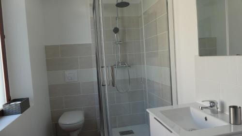 a bathroom with a shower and a toilet and a sink at Cottage l'Orée du Cher in Chissay-en-Touraine