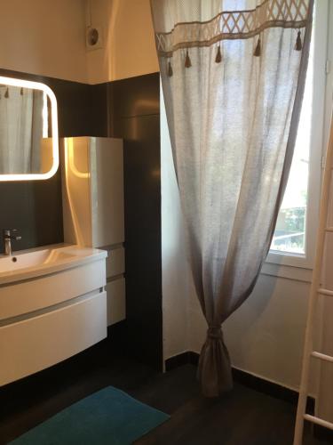 La salle de bains est pourvue d'un rideau de douche et d'un lavabo. dans l'établissement Le Mas des Platanes, à Entraigues-sur-la-Sorgue