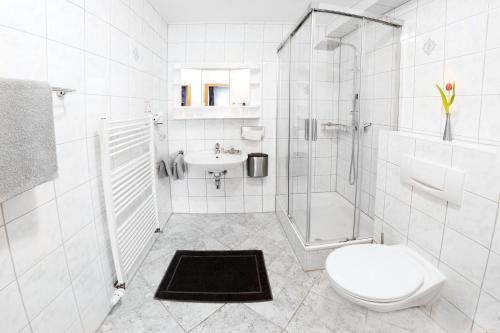 
a white toilet sitting in a bathroom next to a sink at Hotel Restaurant Waldlust in Hagen

