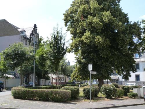 a street with trees and bushes and a street sign at Hotel Jägerhof in Mayen