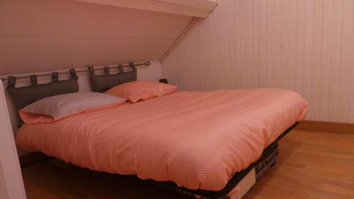 a bed with two pink pillows in a room at maison troglodyte in Pocé-sur-Cisse