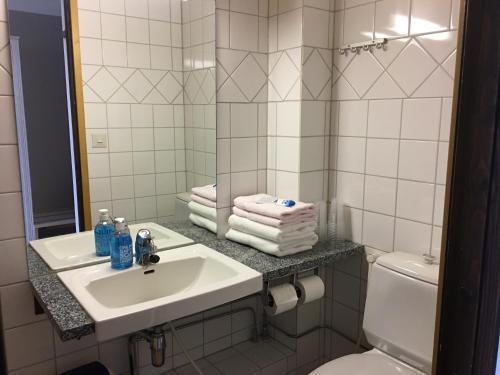 ห้องน้ำของ Hotelli Pellonhovi