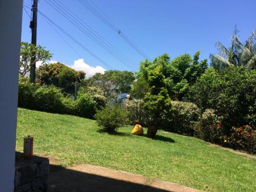 Κήπος έξω από το Pousada Costão do Sol