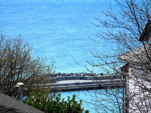 a view of the ocean from a house with trees at Villa Meeresglück in Sassnitz