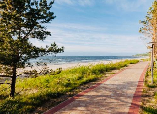 a path along the beach with a tree and the ocean at AQUAMARINA ONYX GOLD in Międzyzdroje