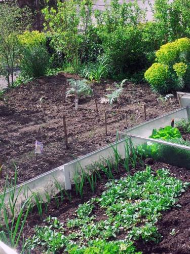 a garden with some plants in the ground at LA PROVIDENCE, chambres d'hôtes in Saint-Sernin-du-Plain