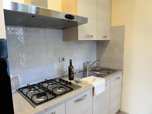 Il comprend une cuisine équipée d'une cuisinière et d'un évier. dans l'établissement L'Aia di Argia, à Ponte a Tressa