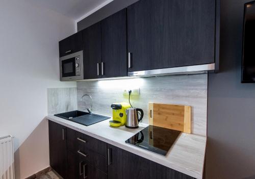 a kitchen with black cabinets and a yellow appliance on a counter at Třeboňské Apartmány in Třeboň