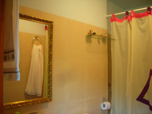 a bathroom with a shower curtain and a mirror at Casa frari in Peralta de la Sal