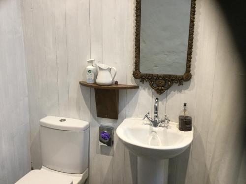 a bathroom with a toilet and a sink and a mirror at Comraich in Tokavaig