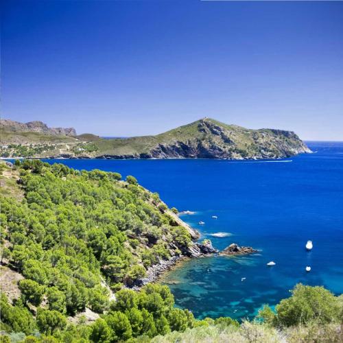 Golden Bay
