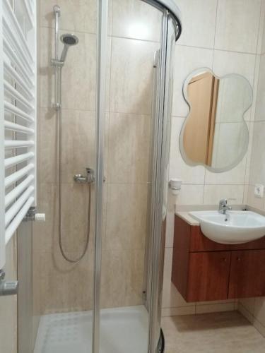 a bathroom with a shower and a sink at Lemon Tree Apartment in Vila do Conde