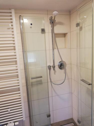 a shower with a glass door in a bathroom at Ferienhaus Tooren in Kurort Altenberg