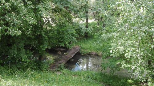 a wooden bridge over a river in a forest at PR`Cajhn in Radovljica