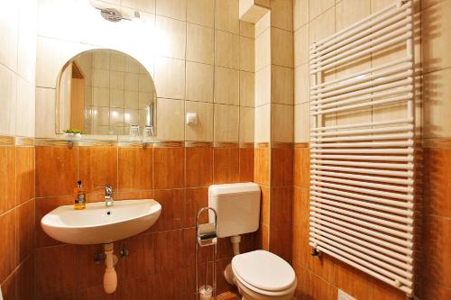 a bathroom with a sink and a toilet and a mirror at Paradise Apartman in Miskolc