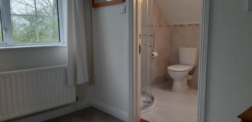 a bathroom with a toilet and a glass shower door at Nephin Lodge in Westport