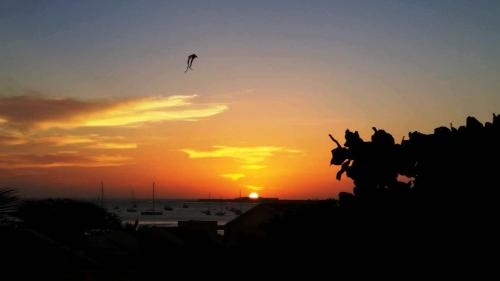 a group of people flying a kite at sunset at Aparthotel Santa Maria Beach in Santa Maria