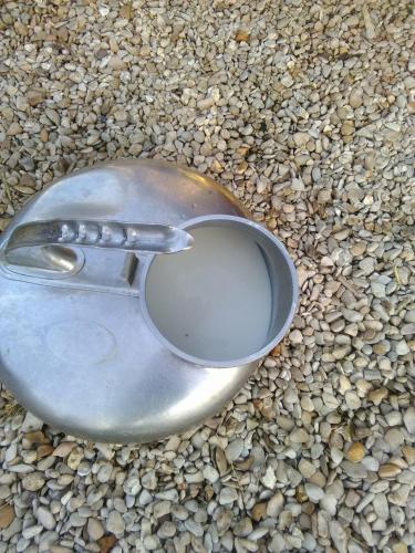a metal bowl sitting on a pile of rocks at ferme pedagogique des pennetieres in Montcorbon