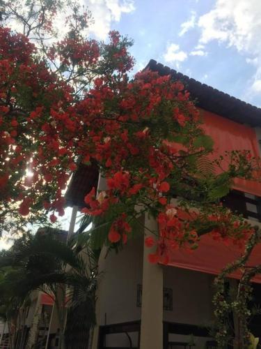 a tree with red flowers in front of a building at Pousada das Seriemas in Pirenópolis