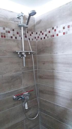 eine Dusche mit einem Wasserhahn im Bad in der Unterkunft Gîte Bananier in Bouillante