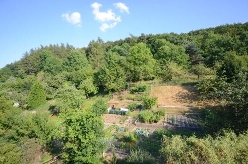 an aerial view of a garden in the middle of a forest at Pension Burk in Bad Endbach