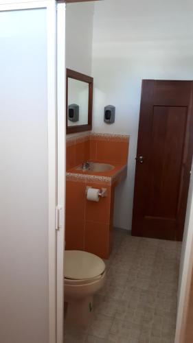 a bathroom with a toilet and a sink and a mirror at Hotel Alebrijes in San Pedro Pochutla