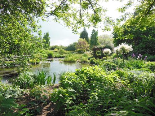 a pond in a garden with flowers and trees at Bed and Garden Alde Coninckshof in Weurt