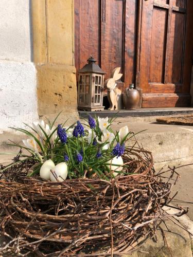 a nest with eggs and flowers in front of a door at Pension Laura in Chřibská