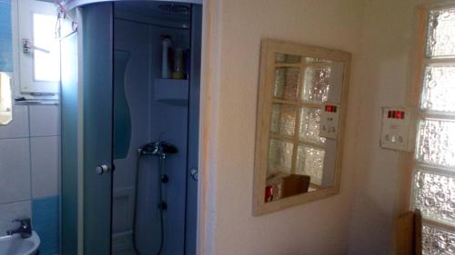 a bathroom with a blue door and a mirror at Cottage Forest Stream in Visoko