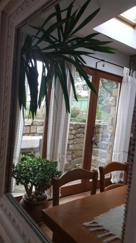 Gambar di galeri bagi Istrian Stone House di Sečovlje