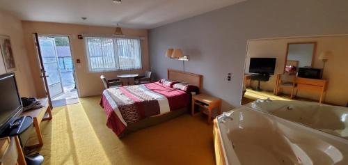 a bedroom with a bed and a tub and a television at Town'n Country Motor Inn in Leamington