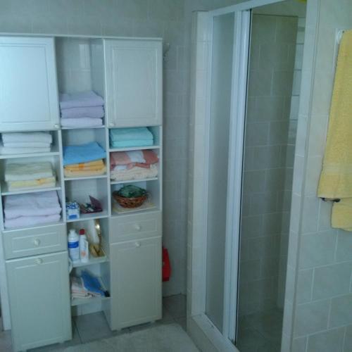 a bathroom with a shower and a walk in closet at Apartmán v rodinném domě in Hradec Králové