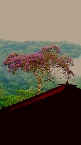 Landskap semula jadi dekat dengan chalet