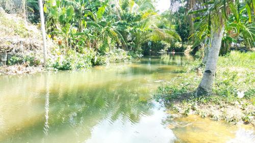 a body of water with a palm tree in it at Home No.9 in Ko Lanta