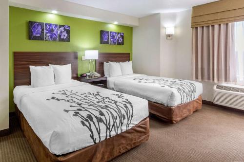 מיטה או מיטות בחדר ב-Sleep Inn near Busch Gardens - USF