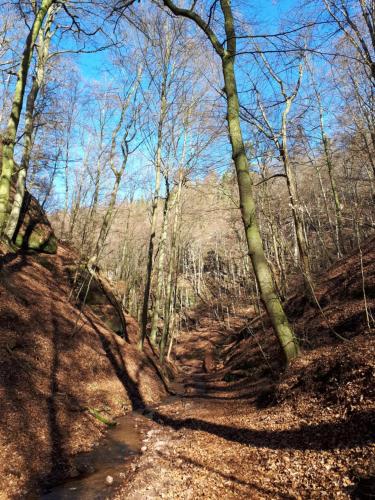 Afbeelding uit fotogalerij van Villa Sängerstein in Eisenach
