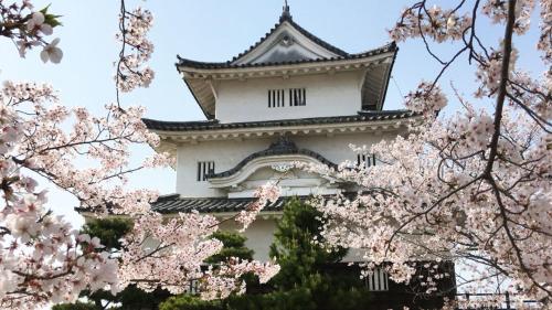 a tower with pinkakura trees in front of it at HOTEL MYTH-J -ホテル マイス ジェイ- adult only in Sakaide