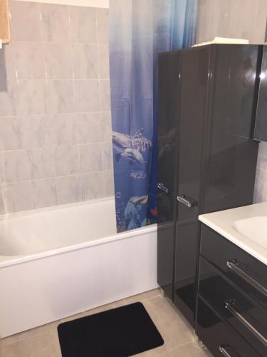 Gallery image of grand appartement a louer vue sur seine in Melun