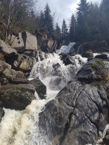 a river with rapids on the rocks at Hejnice Retreat in Hejnice
