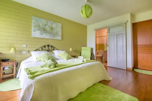 a bedroom with a large bed with a green blanket at Gite 5 étoiles 6 pers 113m2 vue de rêve PISCINE RIEN QUE POUR VOUS ! in Brion