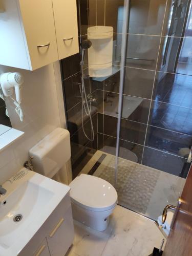 mała łazienka z toaletą i prysznicem w obiekcie Apartment Zorić Grebaštica w mieście Grebaštica