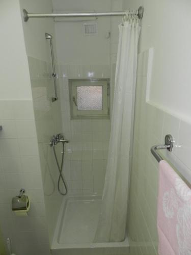 y baño con ducha y cortina de ducha. en Levak Apartments - Apt. 2, en Pješčana Uvala